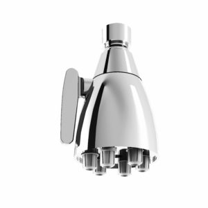 2421 “Speakman” wall headshower